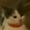 Avatar brendamendes2093