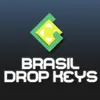 Avatar brasil_dropkeys