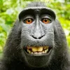 Avatar gleison_