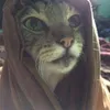 Avatar ninjadograu