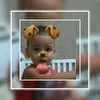 Avatar 37644821