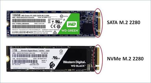 5289025-7k7Iy.jpg