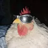Avatar warleyoliveira0516