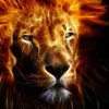 Avatar ian_lucas