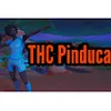 Avatar thcpinduca