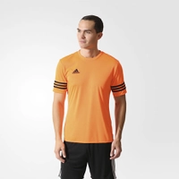 Camisa Adidas Entrada 14 - R$35