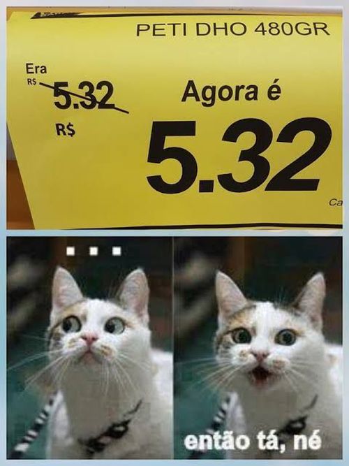 4928837-TTj4T.jpg