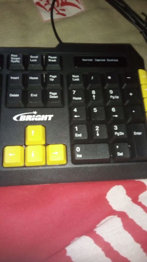 3299410-LDOlp.jpg