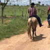 Avatar eduardoribeiro6944