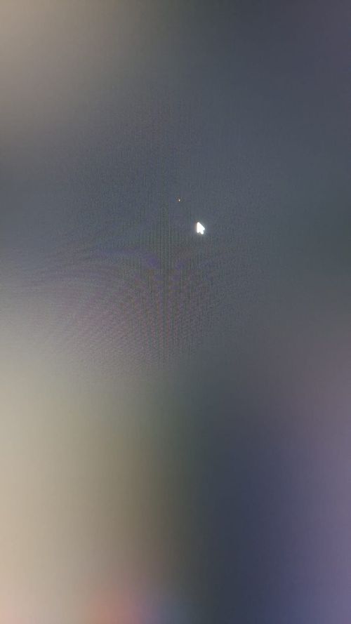 imagem vertical.jpeg