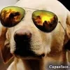 Avatar yslan_costa