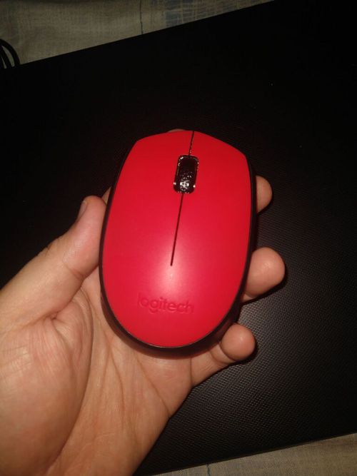 3892176-pMtDk.jpg