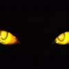 Avatar panther_view