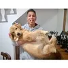 Avatar douglaslima