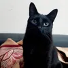 Avatar positivelyprudent