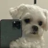 Avatar brendawp