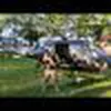 Avatar douglaslopes8332