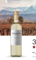 Vinho Benjamin Torrontes Argentino - 750ml | R$9,99