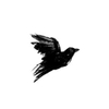 Avatar blackbird