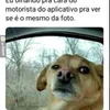 Avatar aureomendes