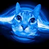 zhardki20777