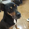 Avatar jj010978