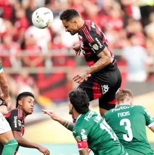 Imagem do comentário