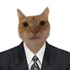 Avatar heliovieira_adpp