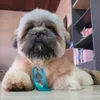 Avatar fonteres