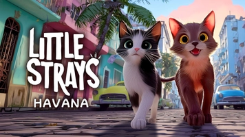 Little Strays: Havana