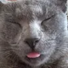 Avatar douglasian10