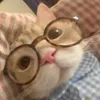 Avatar warukatta