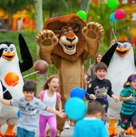 Pacote Beto Carrero World: Aéreo, Hospedagem + Opção de Traslado - A partir de R$399