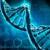 Avatar filamentodedna