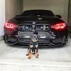 Avatar musgado
