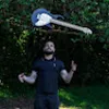 Avatar warrenb777