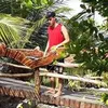 Avatar bielghomes
