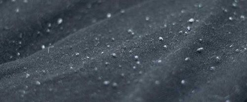 4478199-fHwhK.jpg