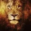 Avatar ney_lira