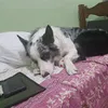 Avatar meloncollie