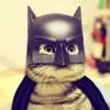 Avatar vinicius.mirthful