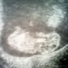 Avatar isleyd_sea