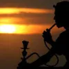 Avatar jose_iran