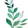 Avatar sunipla