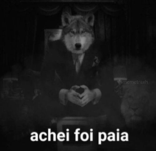 Imagem do comentário