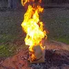 Avatar atasty