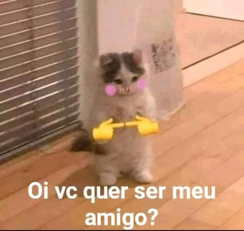 Imagem do comentário