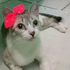 Avatar giselle.limaxg8