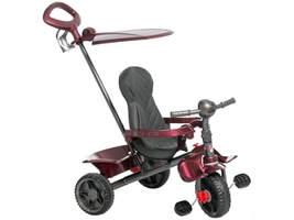 Triciclo Infantil Smart 266 com Empurrador - com Capota Bandeirante R$ 450