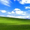 Avatar william_diniz